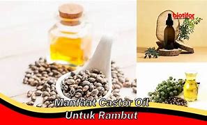 Castor Oil Untuk Rambut Rontok